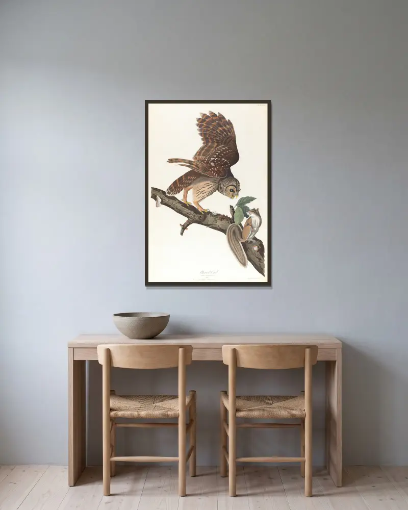 Sperbereule von John James Audubon gerahmt an einer Wand