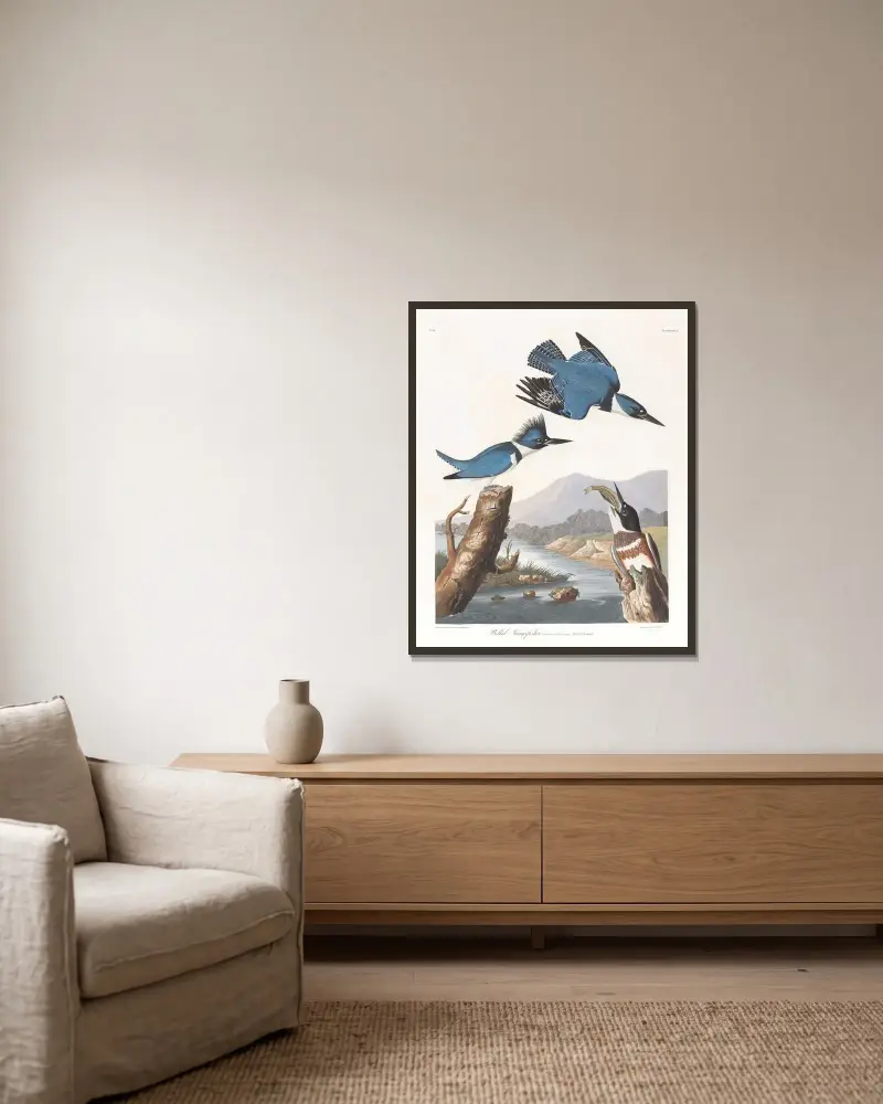 Bältfiskare av John James Audubon inramad på en vägg