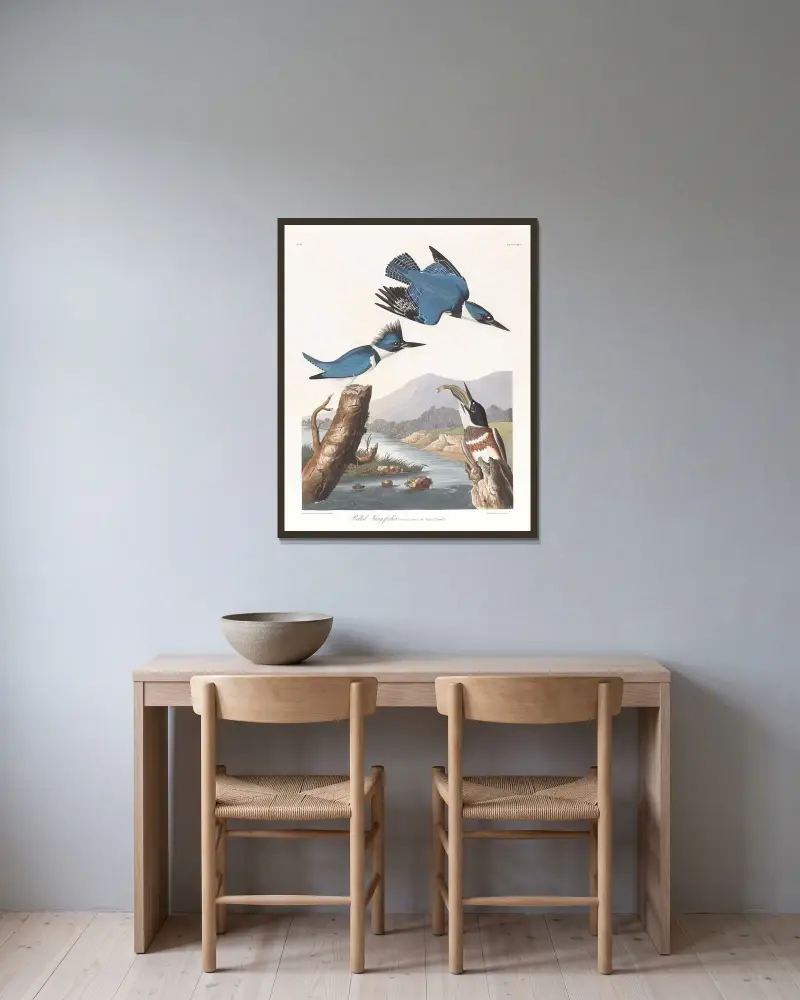 Bältfiskare av John James Audubon inramad på en vägg