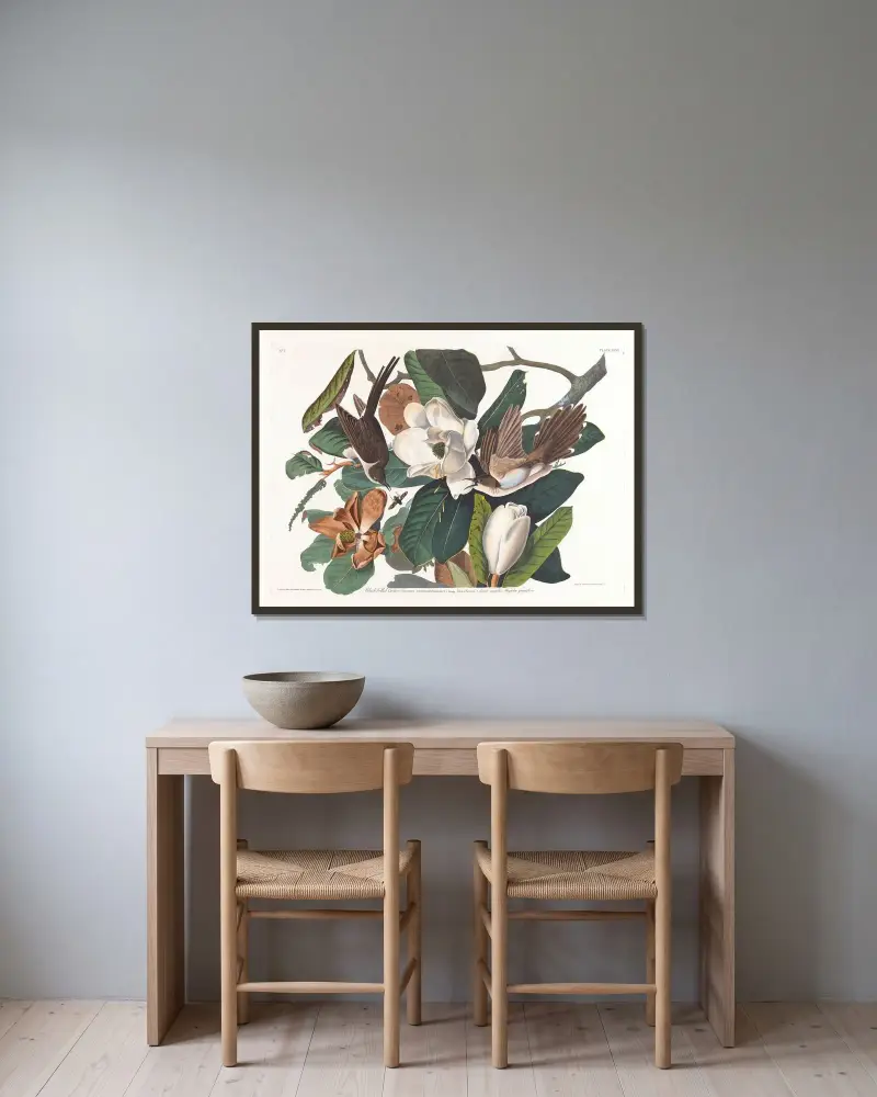 Black-billed cuckoo av John James Audubon inramad på en vägg
