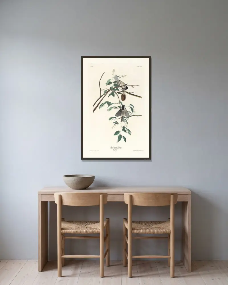 Schwarzkopfmeise von John James Audubon gerahmt an einer Wand