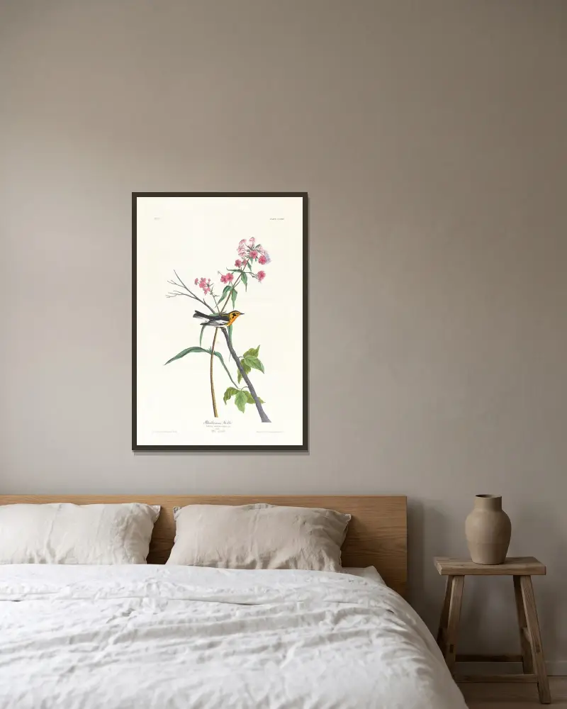 Blackburnian warbler, John James Audubon w ramie na ścianie