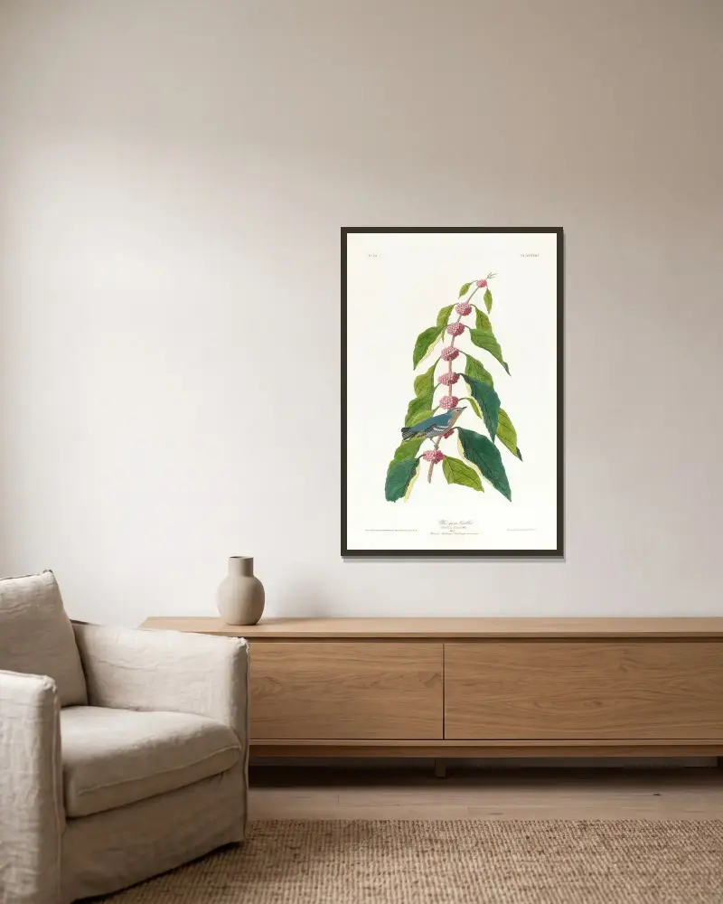 Blue-green warbler av John James Audubon inramad på en vägg
