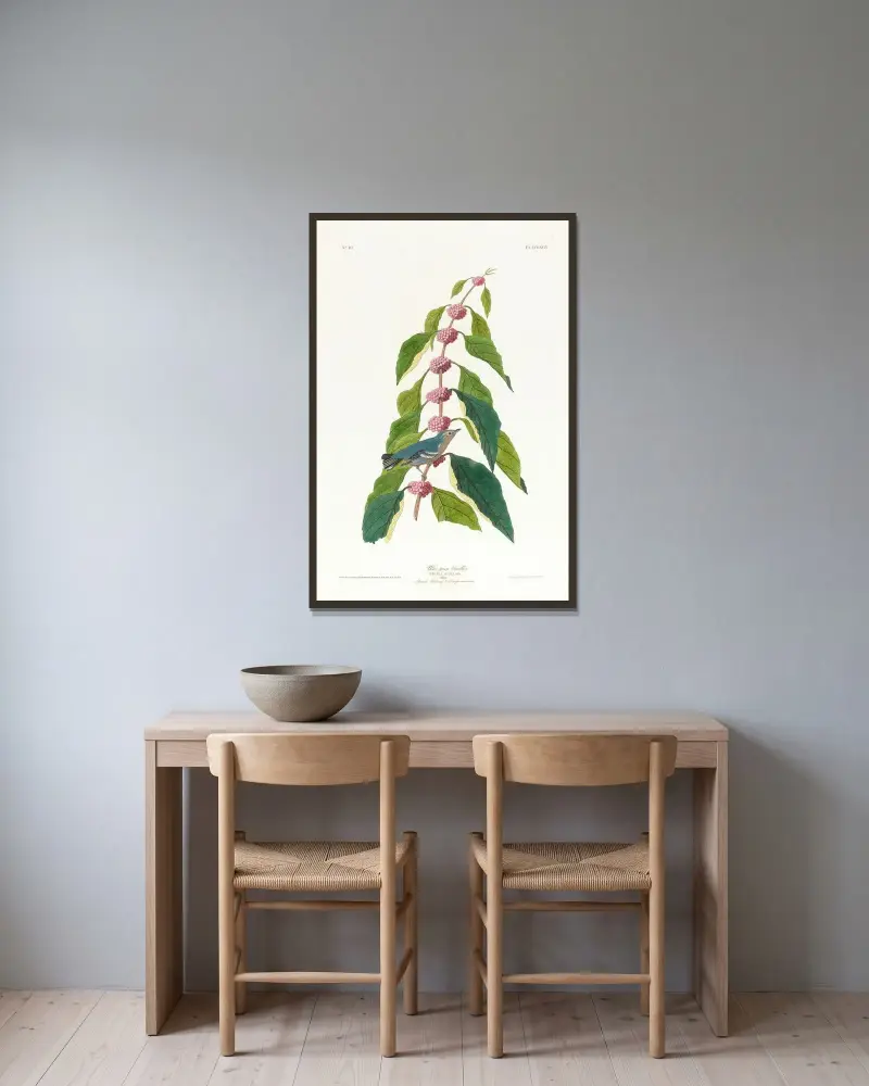 Blue-green warbler av John James Audubon inramad på en vägg