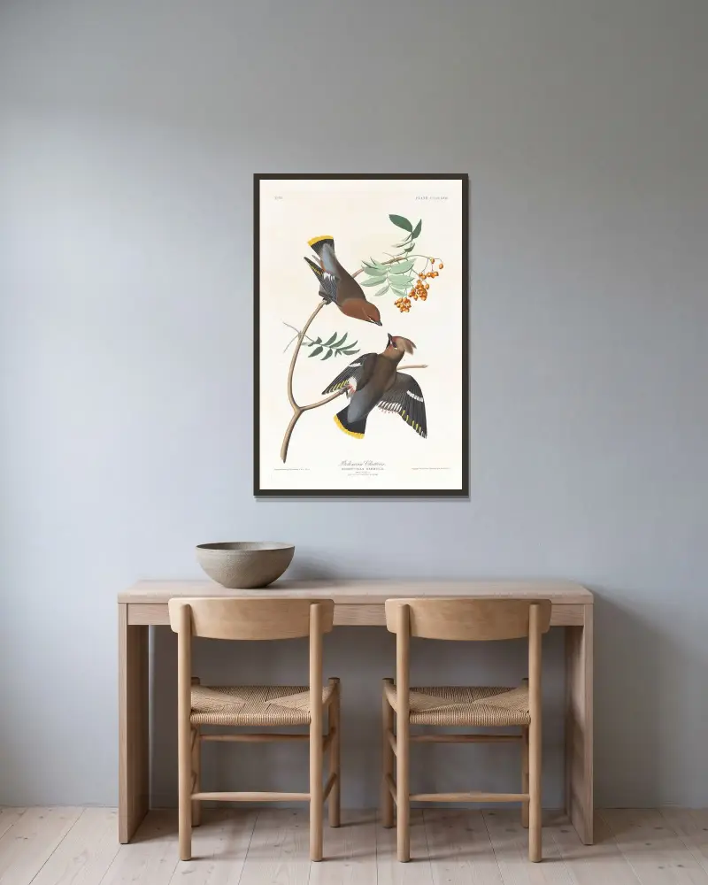 Bohemian chatterer av John James Audubon inramad på en vägg