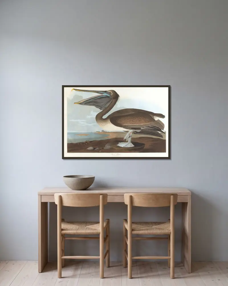 Brown pelican av John James Audubon inramad på en vägg