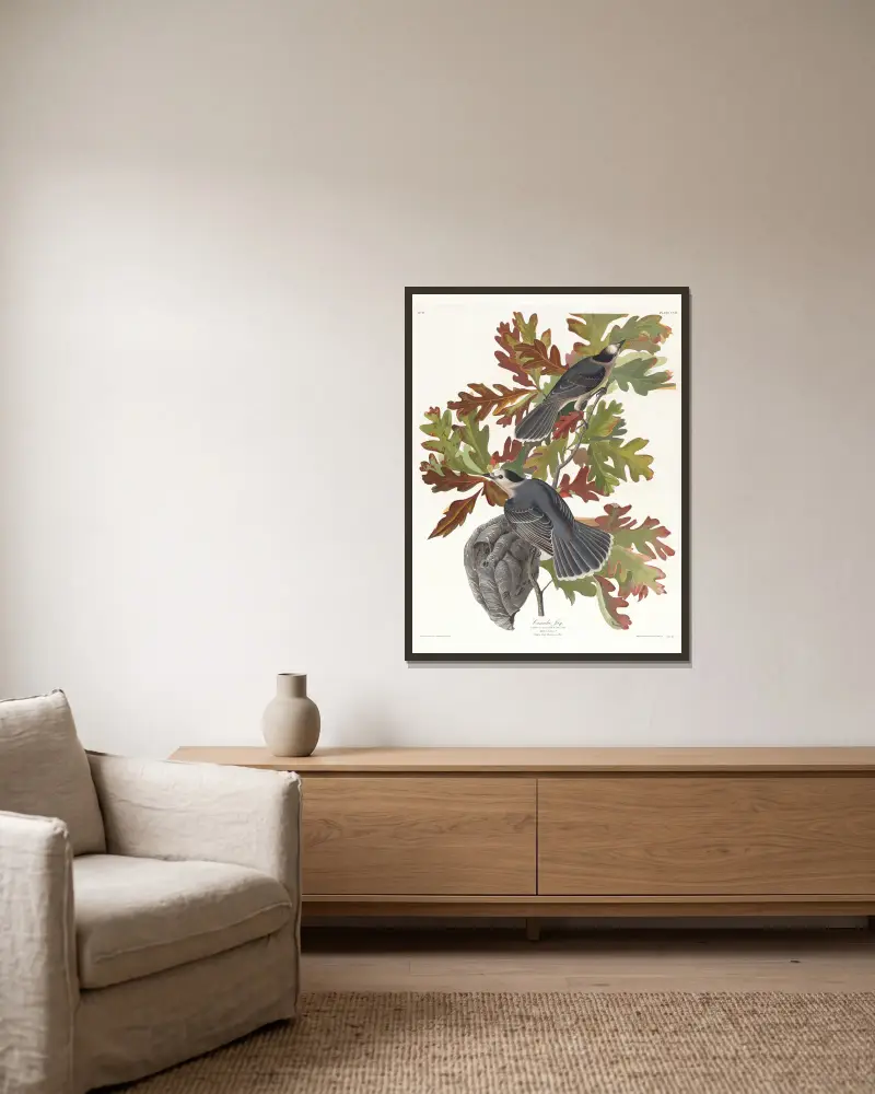 Kanadische Meise von John James Audubon gerahmt an einer Wand