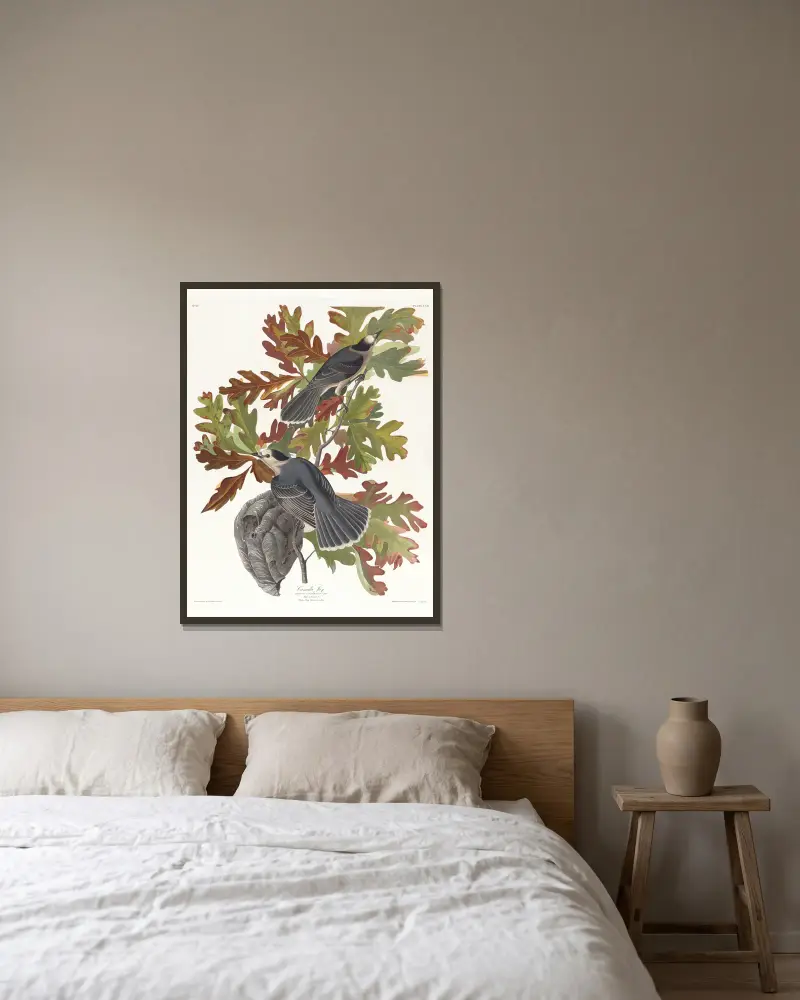 Kanadische Meise von John James Audubon gerahmt an einer Wand
