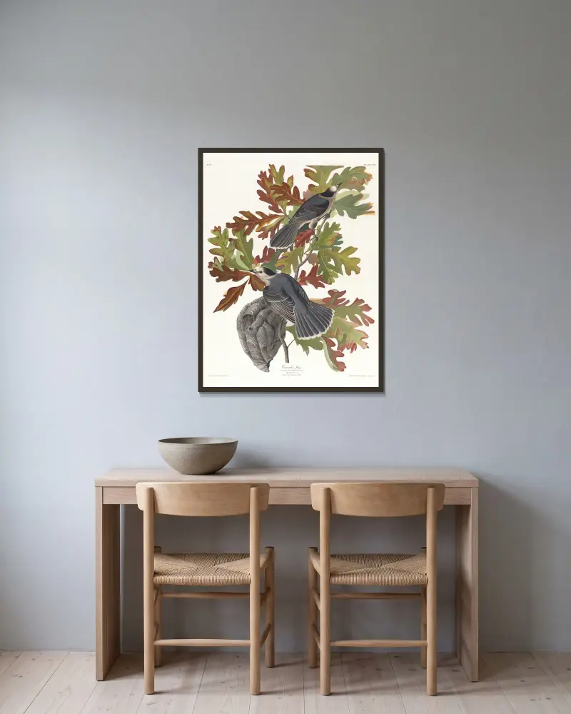 Kanadische Meise von John James Audubon gerahmt an einer Wand