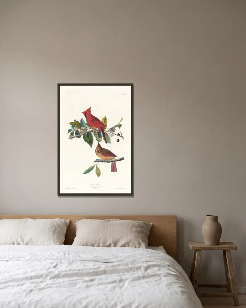 Cardinal grosbeak av John James Audubon inramad på en vägg