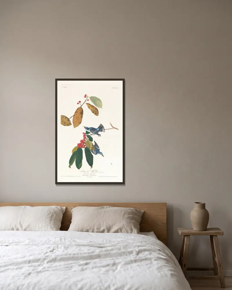 Cerulean warbler von John James Audubon gerahmt an einer Wand