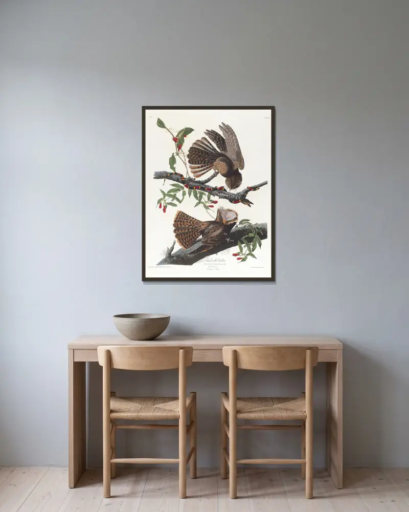 Chuck-will's-widow von John James Audubon gerahmt an einer Wand