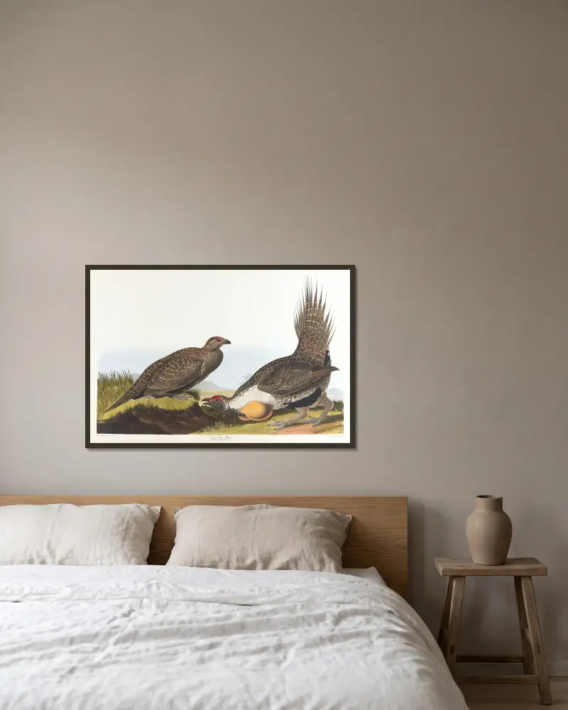 Cock of the plains av John James Audubon inramad på en vägg