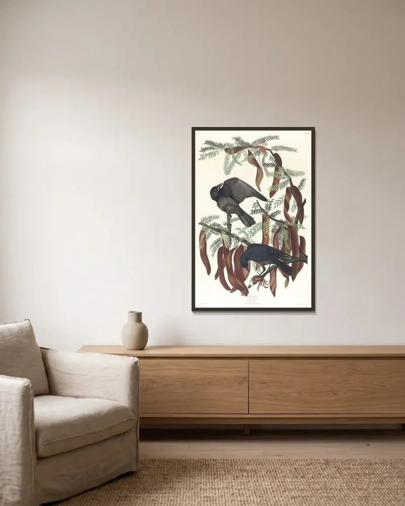 Fish crow av John James Audubon inramad på en vägg