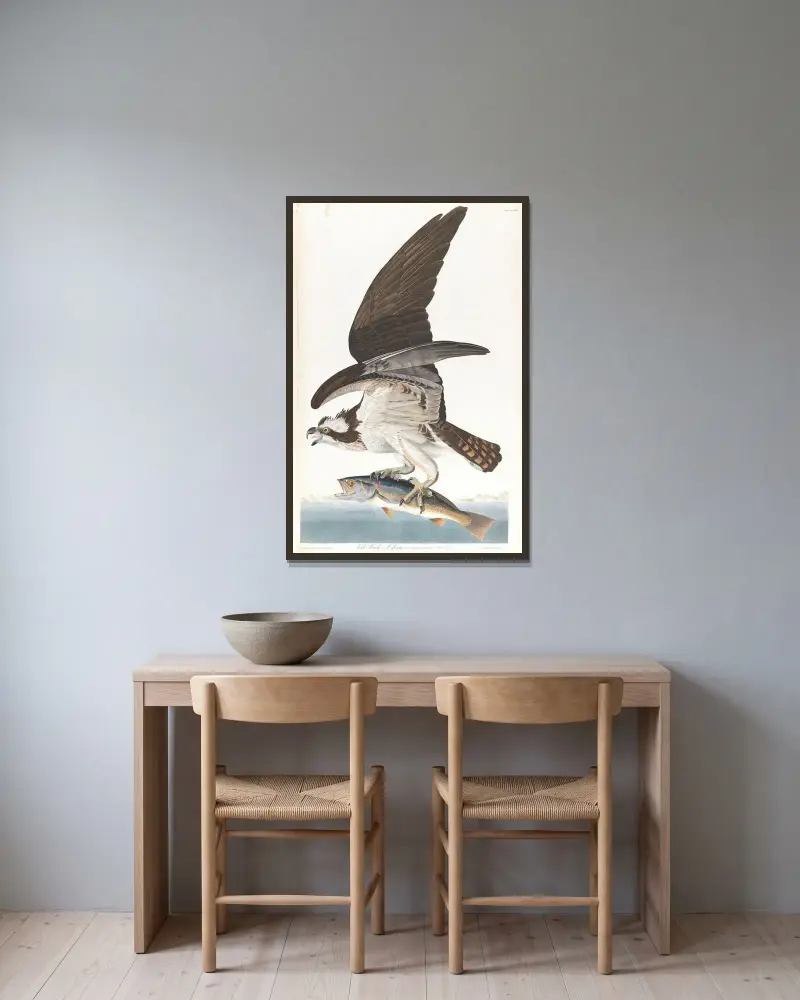 Fish hawk or osprey av John James Audubon inramad på en vägg