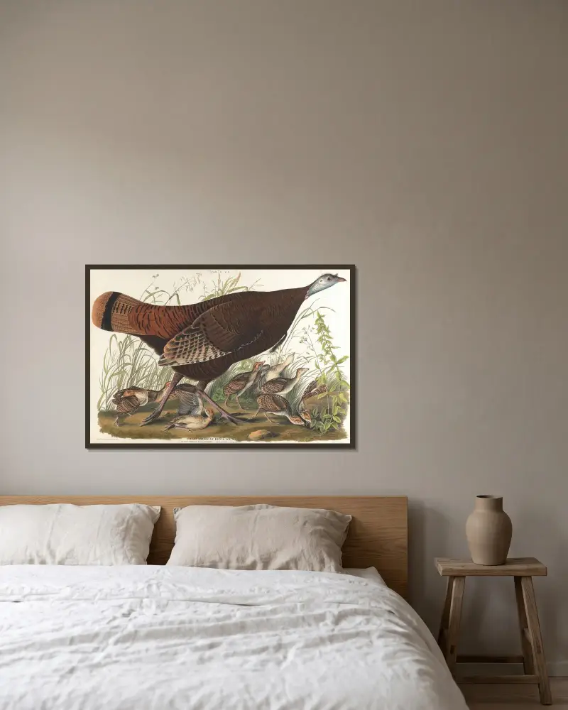 Velká americká kvočna a mláďata, John James Audubon v rámu na stěně