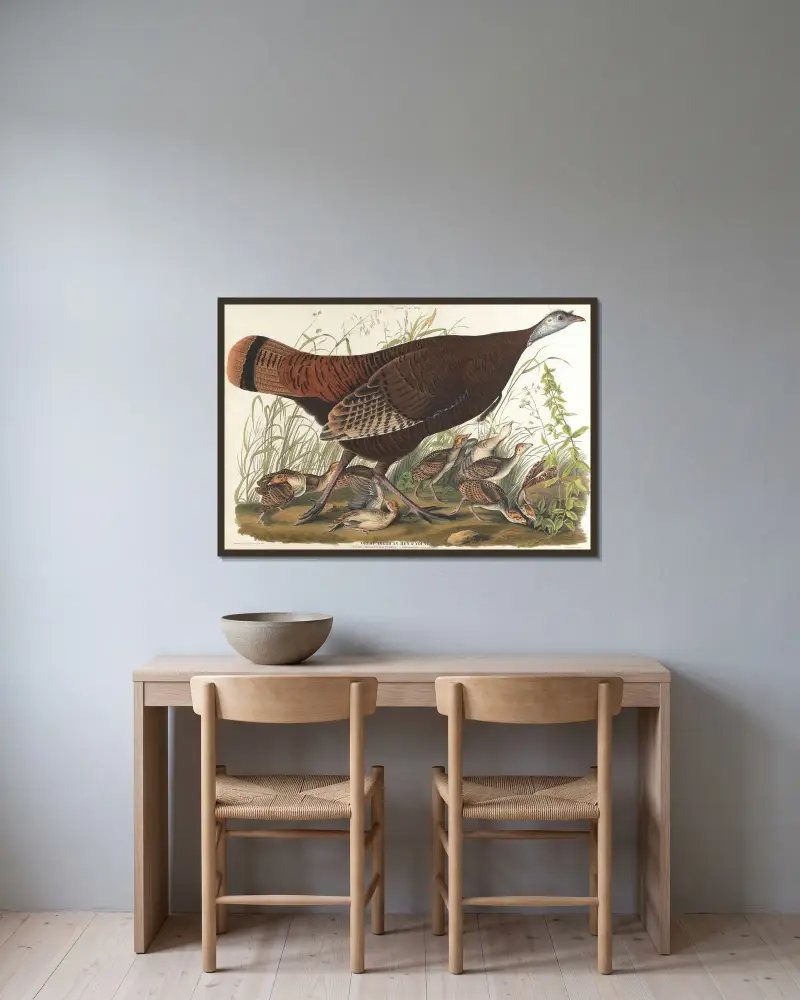 Velká americká kvočna a mláďata, John James Audubon v rámu na stěně