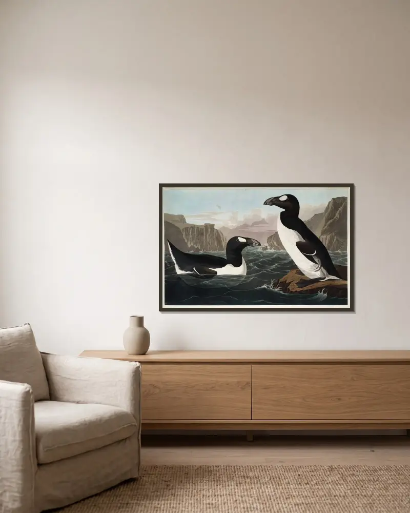 Great Auk, 1827 – nr 2 av John James Audubon inramad på en vägg