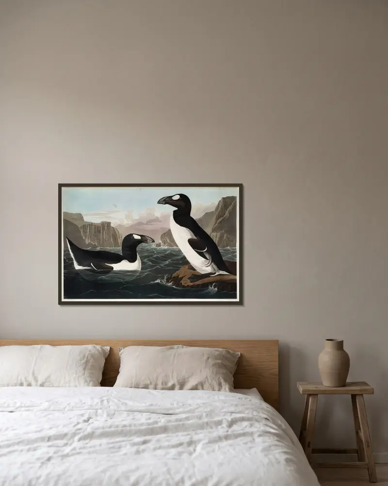 Great Auk, 1827 – nr 2 av John James Audubon inramad på en vägg