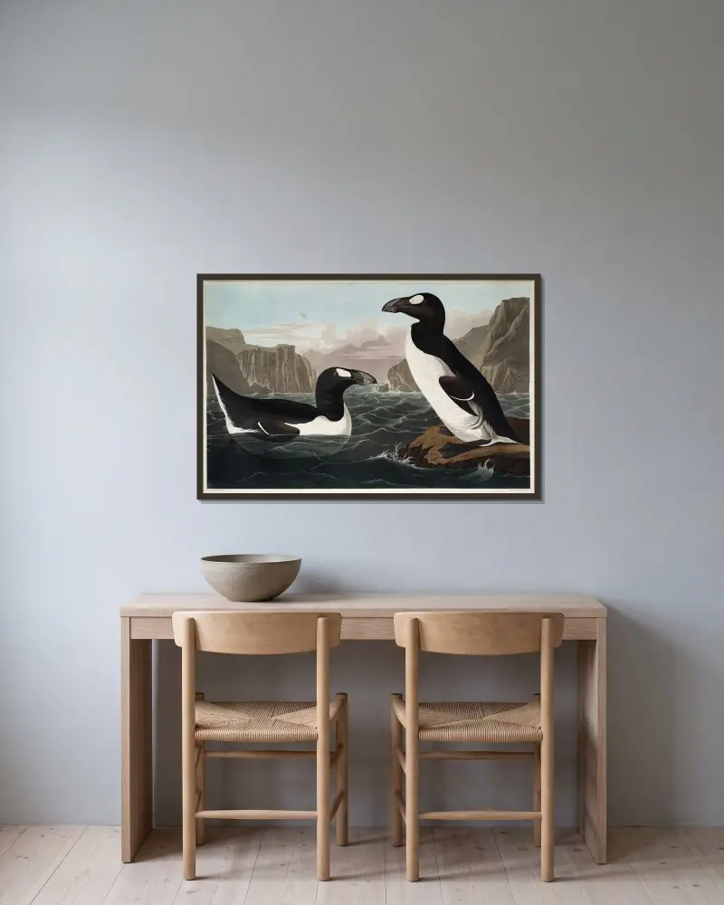 Great Auk, 1827 – nr 2 av John James Audubon inramad på en vägg