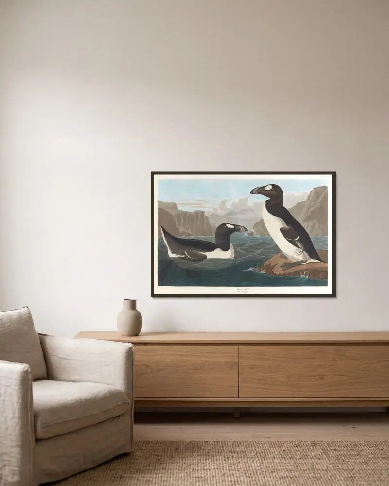 Great auk, 1827 – nr 1 av John James Audubon inramad på en vägg