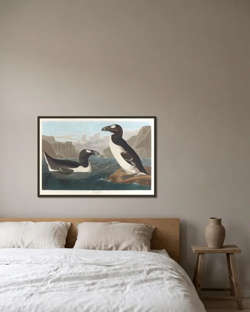 Great auk, 1827 – nr 1 av John James Audubon inramad på en vägg
