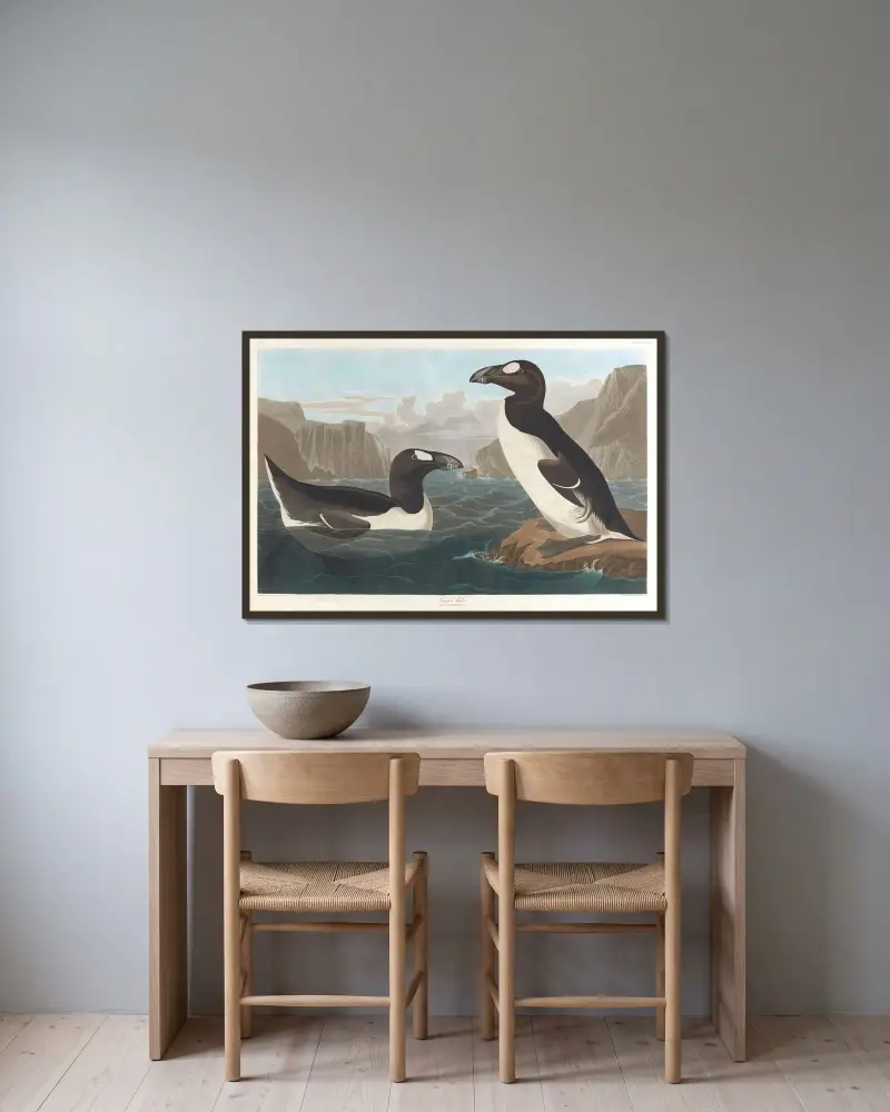 Great auk, 1827 – nr 1 av John James Audubon inramad på en vägg