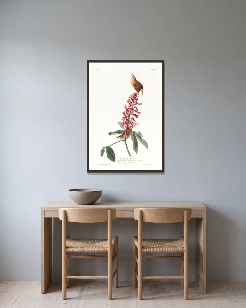Great Carolina wren av John James Audubon inramad på en vägg