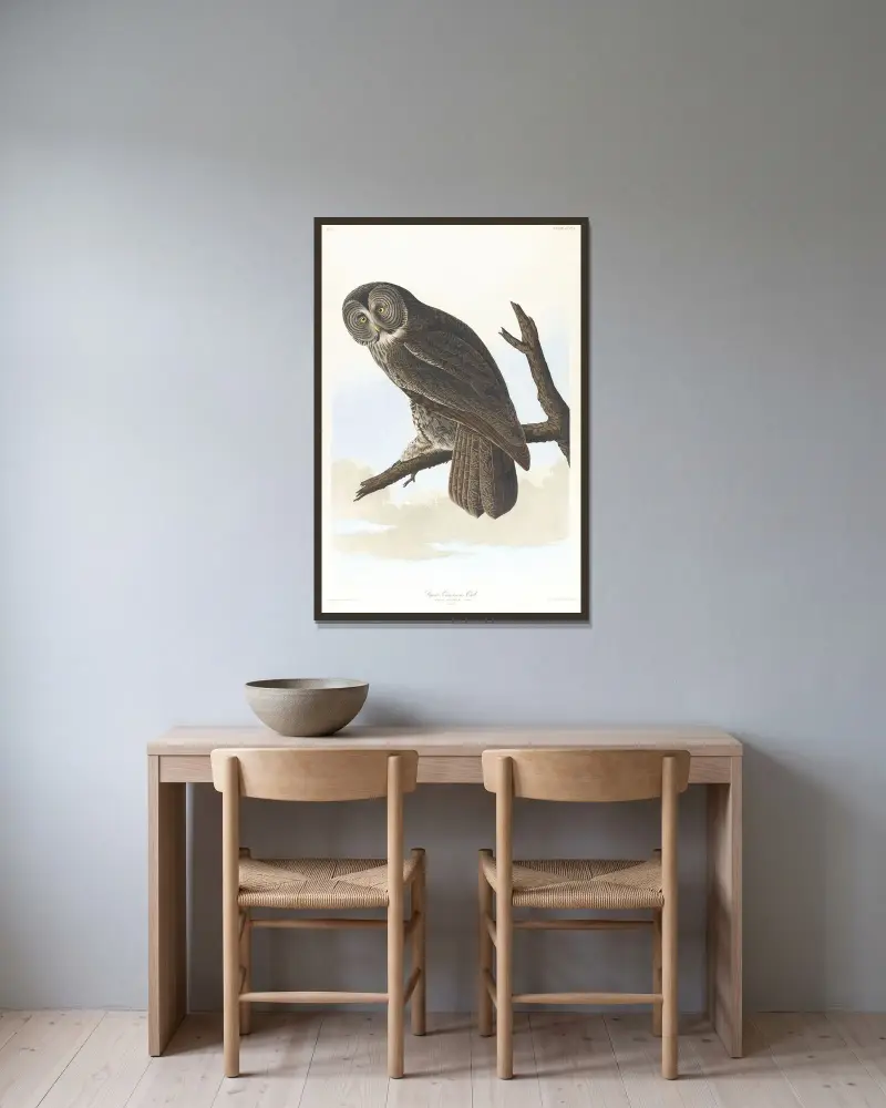 Great cinereous owl av John James Audubon inramad på en vägg