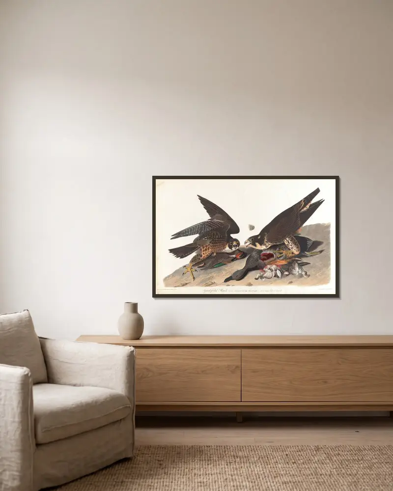 Großfußiger Habicht, 1827 – Nr. 2 von John James Audubon gerahmt an einer Wand