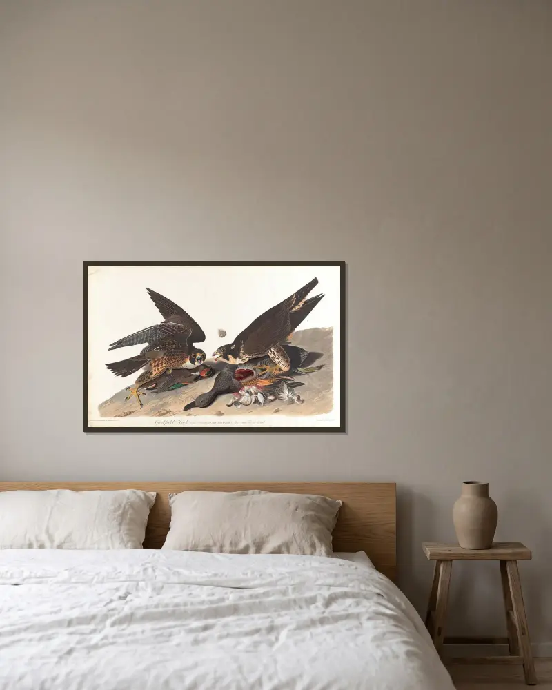 Großfußiger Habicht, 1827 – Nr. 2 von John James Audubon gerahmt an einer Wand