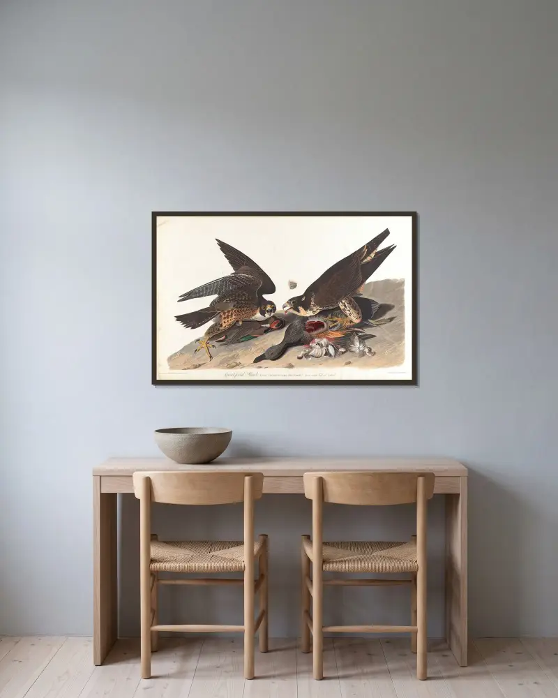Großfußiger Habicht, 1827 – Nr. 2 von John James Audubon gerahmt an einer Wand