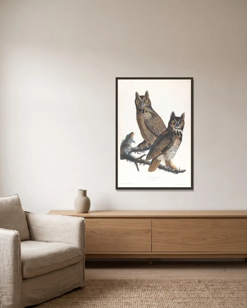 Great horned-owl av John James Audubon inramad på en vägg