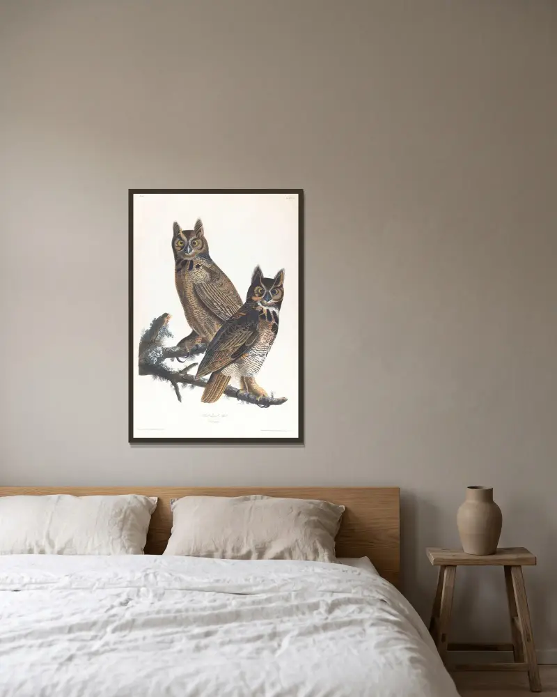 Great horned-owl av John James Audubon inramad på en vägg