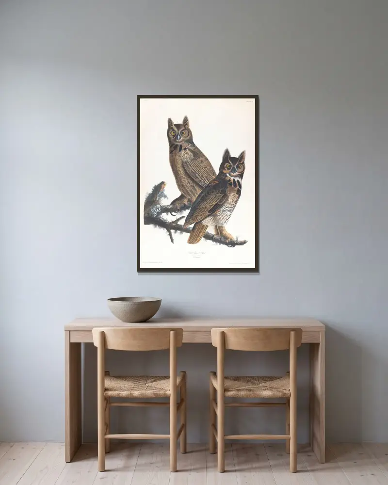 Great horned-owl av John James Audubon inramad på en vägg