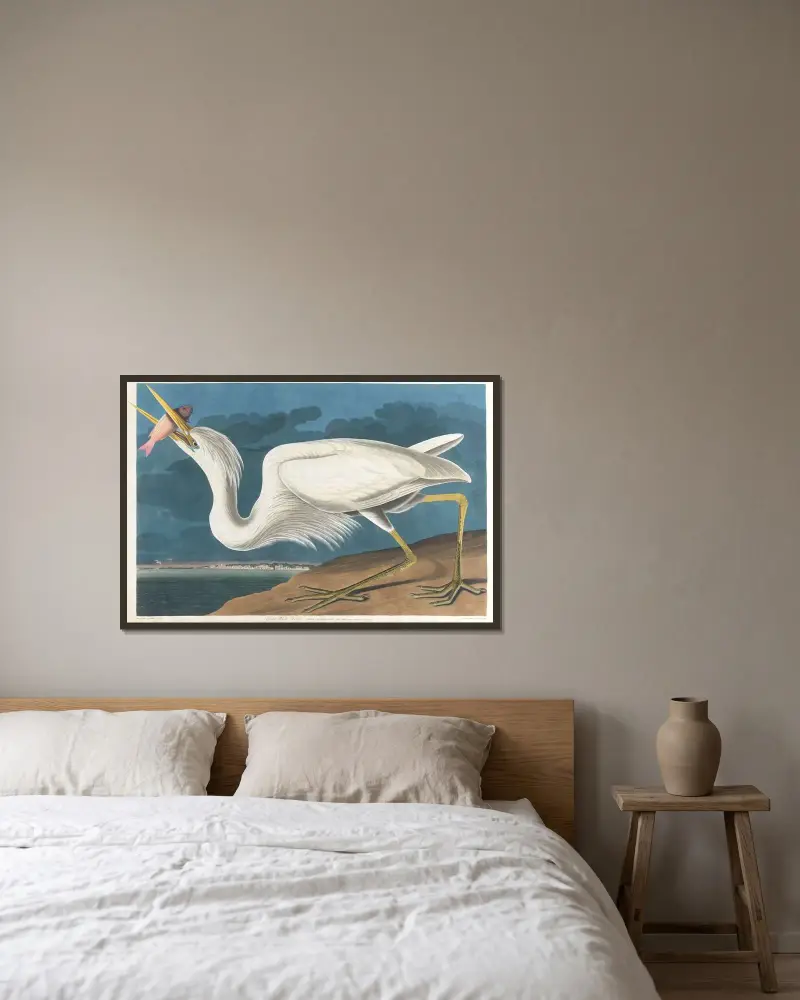 Großer Weißer Reiher von John James Audubon gerahmt an einer Wand