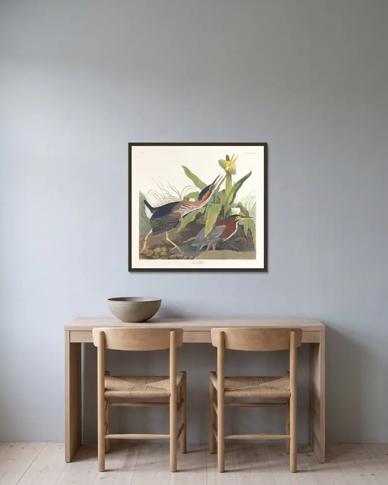 Green heron von John James Audubon gerahmt an einer Wand