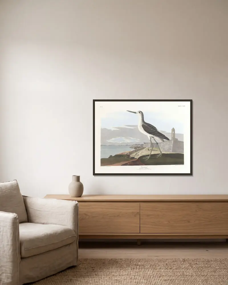 Greenshank av John James Audubon inramad på en vägg