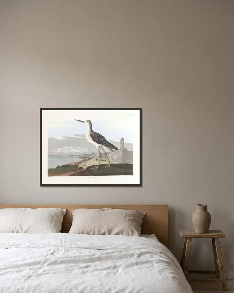 Greenshank av John James Audubon inramad på en vägg