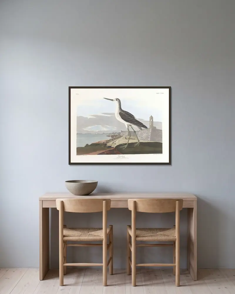 Greenshank av John James Audubon inramad på en vägg