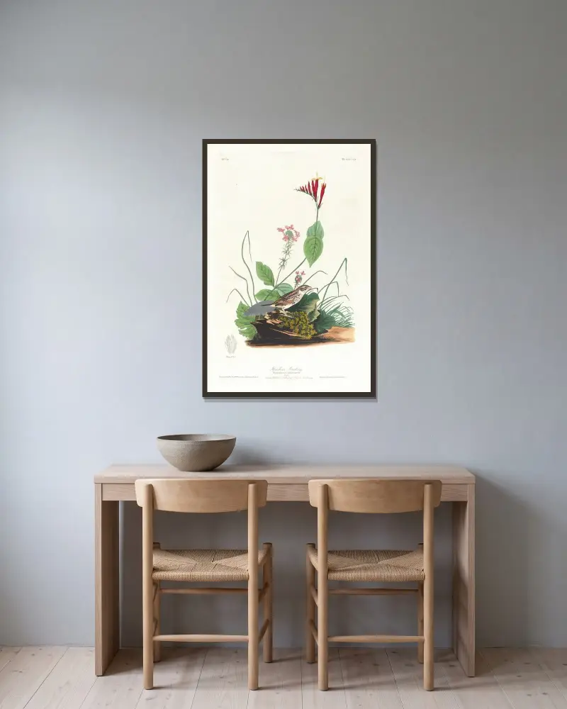 Henslow’s bunting av John James Audubon inramad på en vägg