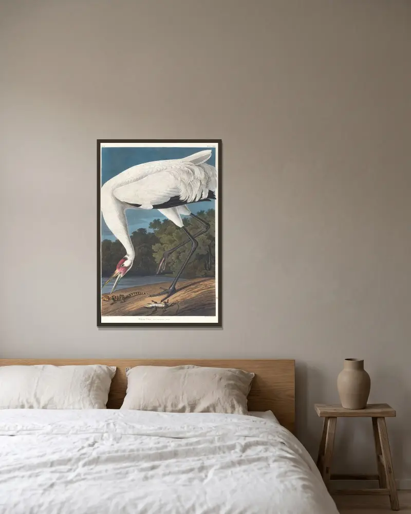 Kranich mit ausgebreiteten Flügeln von John James Audubon gerahmt an einer Wand
