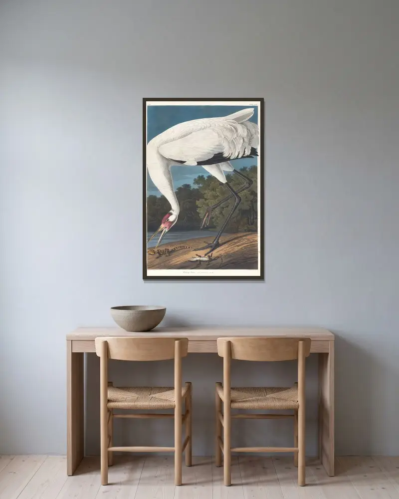 Kranich mit ausgebreiteten Flügeln von John James Audubon gerahmt an einer Wand