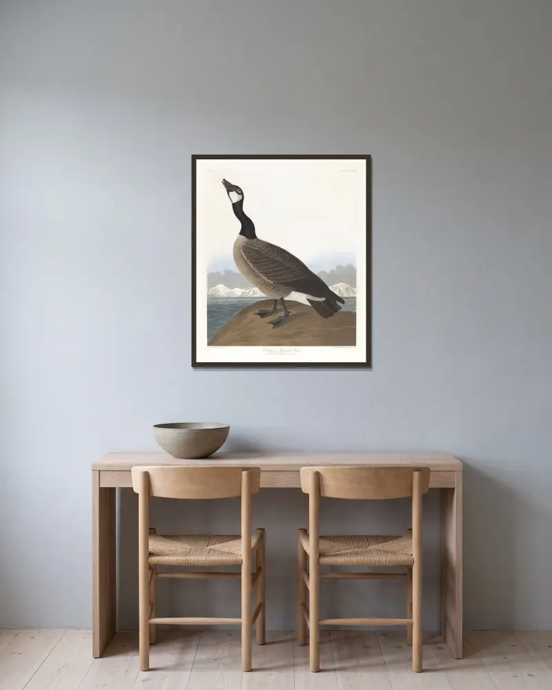 Hutchins' Gans von John James Audubon gerahmt an einer Wand