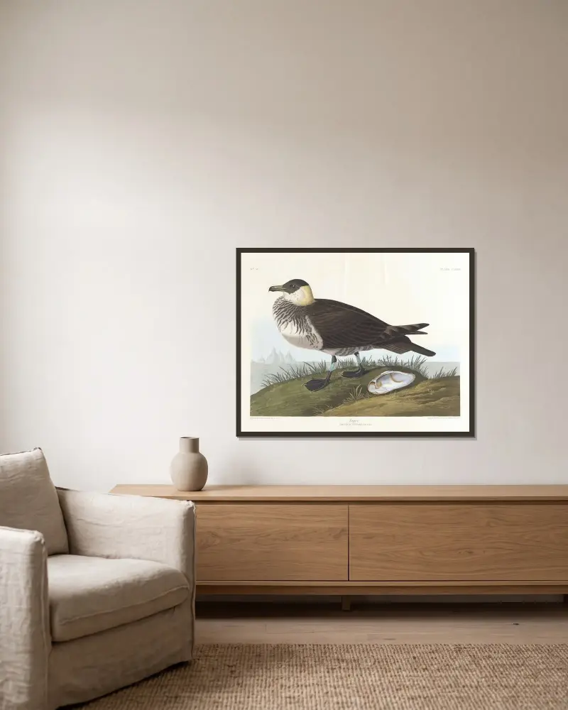 Jager av John James Audubon inramad på en vägg