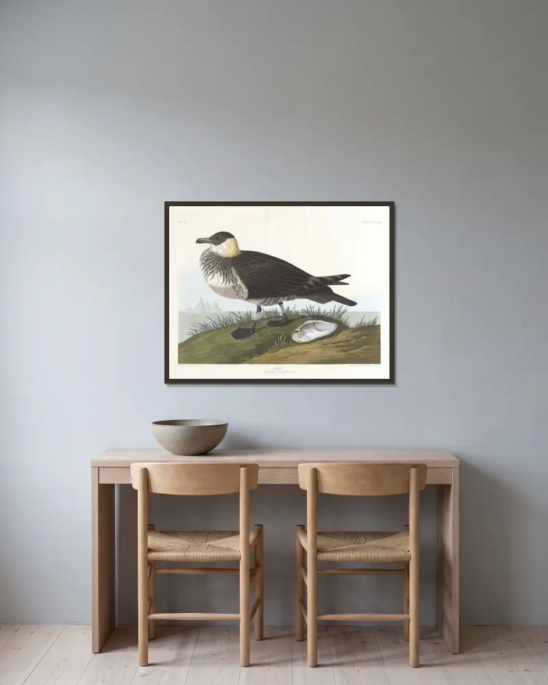 Jager av John James Audubon inramad på en vägg
