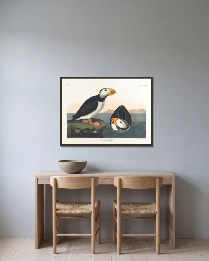 Large-billed puffin von John James Audubon gerahmt an einer Wand