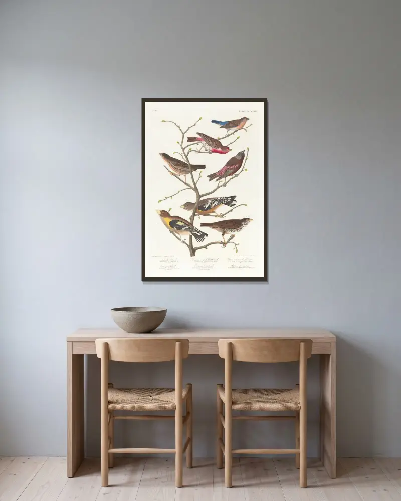 Lazulifink, karmosinröd domherre, gråkronad hämpling, brunhuvad kostare, aftonstenknäck, brun långsporre av John James Audubon inramad på en vägg