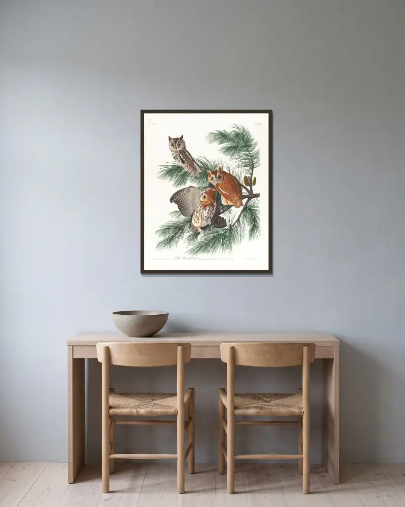 Zwergohreule von John James Audubon gerahmt an einer Wand