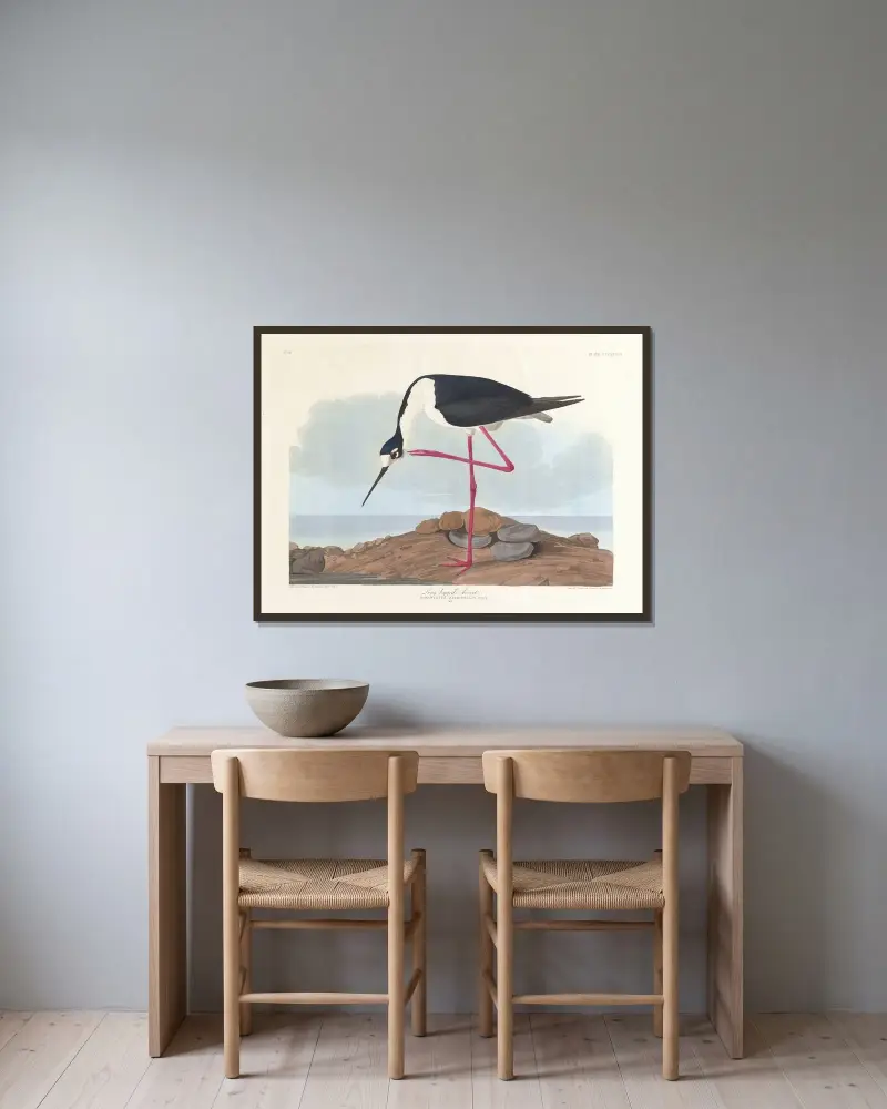 Szczudłak amerykański, John James Audubon w ramie na ścianie
